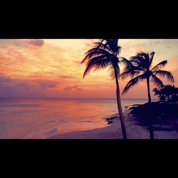 Meet your Posher, Samantha - Picture 1 of 1